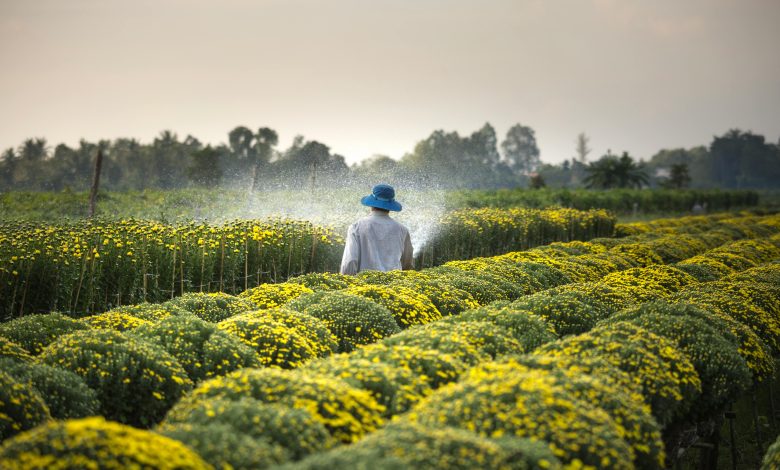 Agriculture