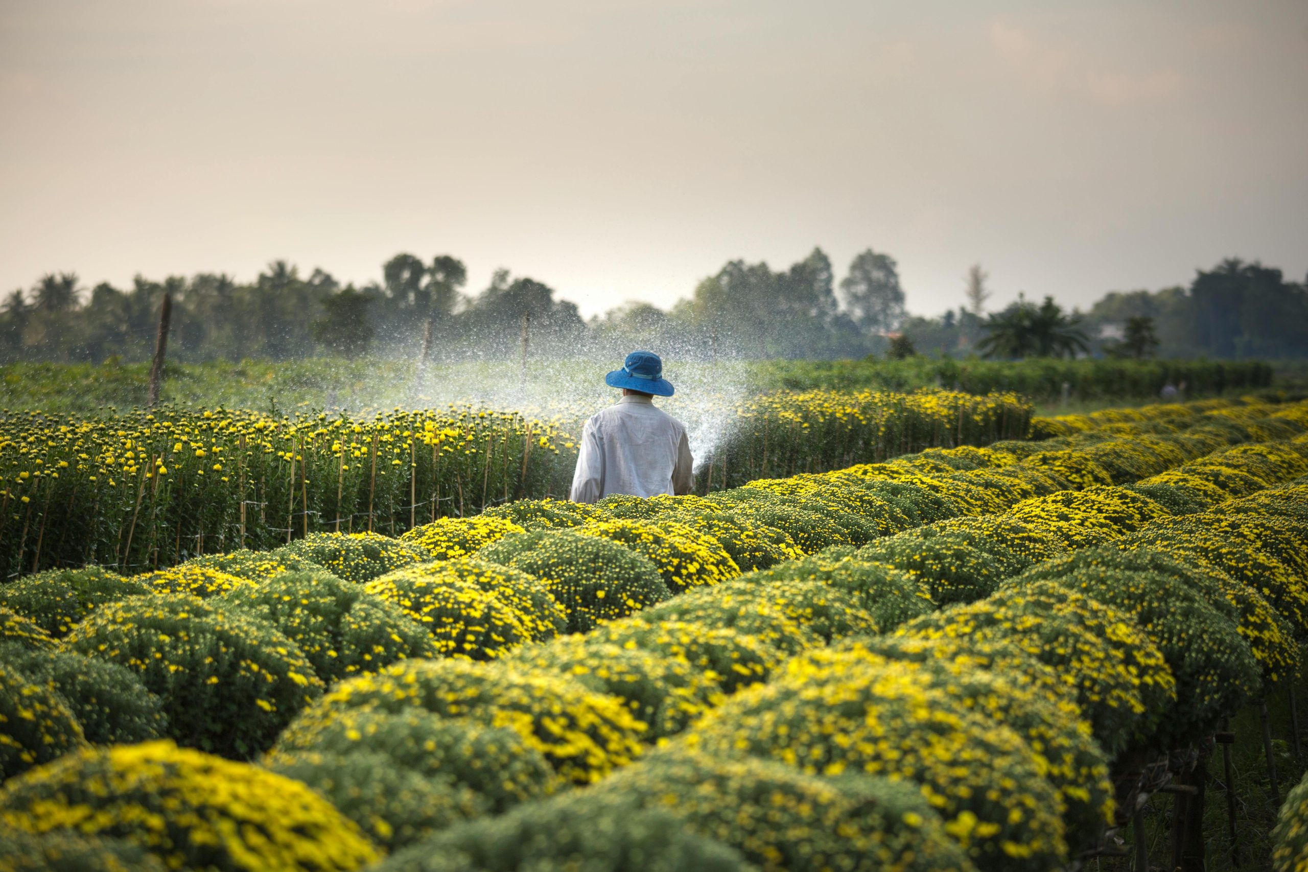 The Benefits of Automation in Agriculture