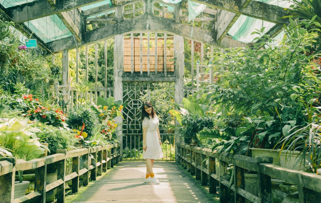 A machine monitoring plants inside a greenhouse, reflecting the precision and efficiency of automation